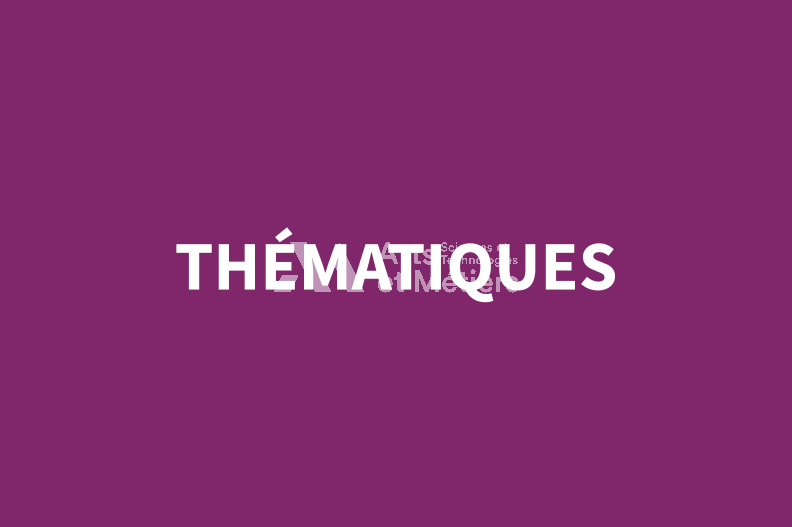 VIGNETTE THEMATIQUES.jpg